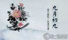 单位重阳节送什么礼物给老同志