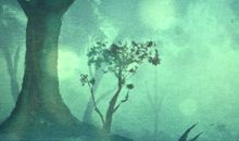 国际消费者权益日宣传标语 3.15消费者权益日口号