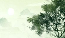 2020世界防治荒漠化和干旱日是哪一天 几月几日