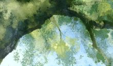 2020年世界海洋日是几月几日 哪一天