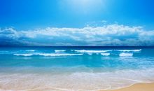 智德2014年6月生肖运势