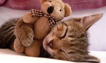 亚提米斯12星座桃花开运2014/04/07-04/13