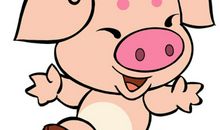 金玲雅居2013癸巳流年十二属相运势：属猪