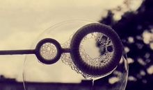 智德2013癸巳年爱情事业景气冲天的生肖