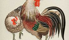 属鸡的贵人属相