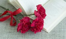 爱情测试：测你九月的桃花有几朵