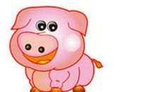 生肖猪陷入何种爱情最容易没结果