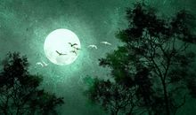 2020年下元节是什么节日呢 民间应如何过