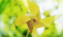 12生肖发展方向