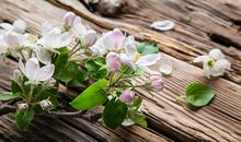 喜神方位查询 2021年1月20日喜神在哪个方位