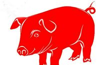 生肖猪的简单算命