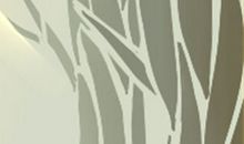 什么是面相学及面相学意义