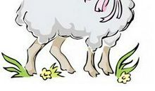 生肖羊的简单算命