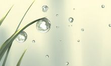 霉运扫出去！春节前大扫除有哪些风水禁忌