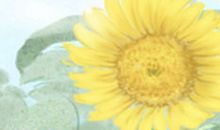 全面解析：好男人面相特征