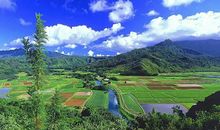 生肖马的简单算命