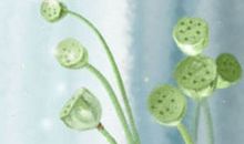 有酒窝的女人寓意好么 晚年运势怎么样