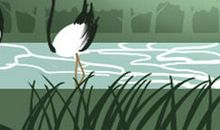 解析：拴马桩面相被认为是富贵的原因