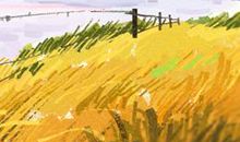 面相图解：女人鼻翼大意味着什么？