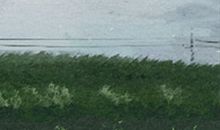 面相图解：有酒窝好吗？