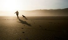 属鼠人的养生秘诀