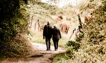 属羊人的养生秘诀