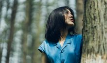 张鑫龙2020年9月10日生肖运势