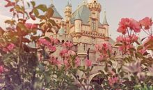 生命灵数看你爱情宿命