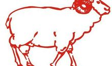 生肖羊几月出生财运旺