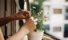 生命灵数：热情过头的人