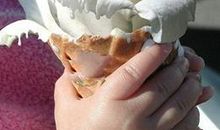 金牛座最开心的事