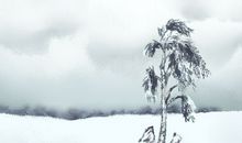 立冬是哪个季节节气 注意事项是哪些