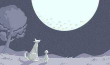 节气知识 冬至以后白天变长吗