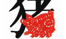 生肖猪几月出生财运旺