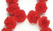 生日和身高互动数为8的人命中注定什么样的爱人