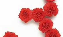 生日和身高互动数为3的人命中注定什么样的爱人