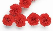 生日和身高互动数为2的人命中注定什么样的爱人