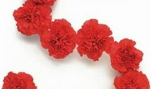 生日和身高互动数为5的人命中注定什么样的爱人