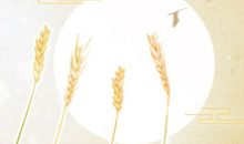 雨水节气如何养生：护肝养脾补水分