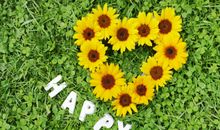 生肖结合星座看哪些女生嫁得好