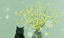 2019年春节是几九 立春了吗