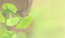 那些面相的人是见利忘义