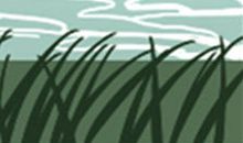 什么脸型最容易成为小三