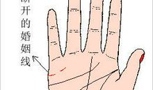 解读你手相中的婚姻线
