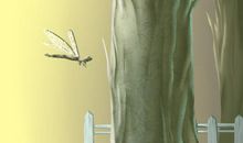 2021年为什么要在立春的时候咬春 就是春天了吗