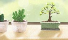 【二十四节气图片】立秋贴秋膘图片