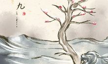 2021年数九时间表查询 2020年12月21日至2021年3月11日