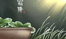 2020年秋天的最后一个节气 是10月23日的霜降节气
