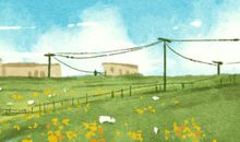 入梅出梅时间2020 怎么定的