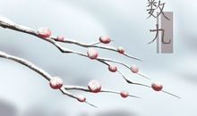 2021年二九时间 2020年12月30日至2021年1月7日